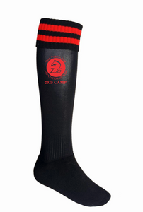 2025 Zone 16 Camp Socks